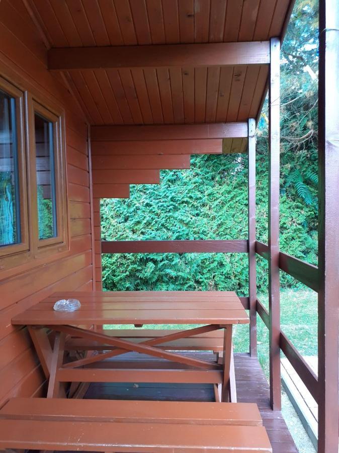 Zakatek I 661-038-537 Homestay Polanczyk